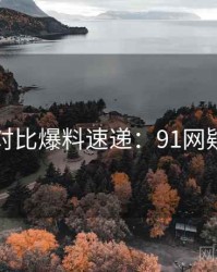 多版本对比爆料速递：91网疑点解析