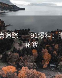全网热点追踪——91爆料：附彩蛋与花絮