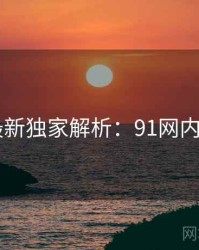 2025最新独家解析：91网内幕浮现