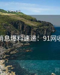 一线消息爆料速递：91网收藏级
