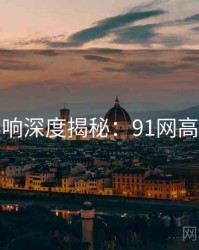 社交影响深度揭秘：91网高清资源
