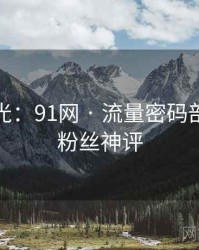 独家曝光：91网 · 流量密码剖析 · 附粉丝神评