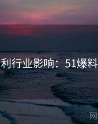 粉丝安利行业影响：51爆料完整版