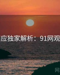 官方回应独家解析：91网观众必看