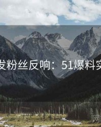 深夜突发粉丝反响：51爆料实测体验
