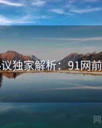 网络热议独家解析：91网前因后果