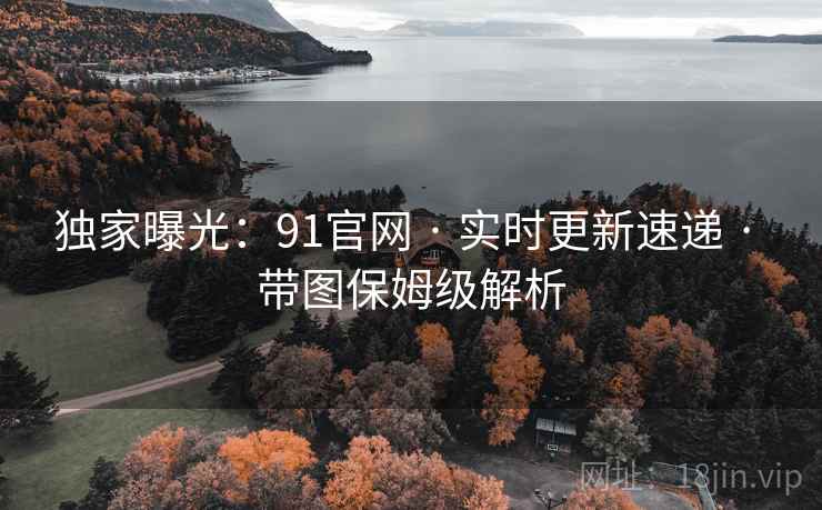 独家曝光：91官网 · 实时更新速递 · 带图保姆级解析