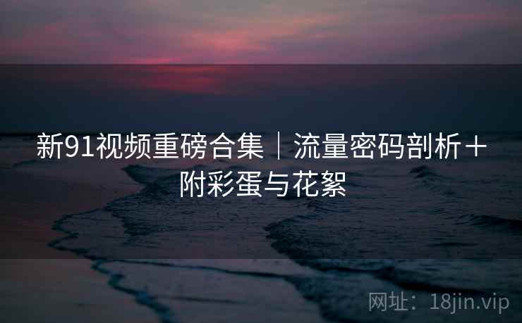 新91视频重磅合集|流量密码剖析+附彩蛋与花絮 新91视频重磅合集|流量密码剖析+附彩蛋与花絮